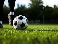 港星罗乐林,透露初步检,测出新冠,云顶娱乐集团,云顶娱乐官方,云顶娱乐登录