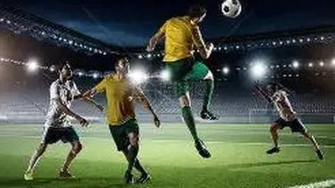 直播网红食象群残果引众怒：借热点行为过分