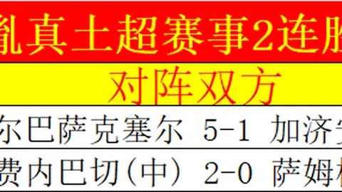 辛纳勇揽澳网桂冠，成就大满贯三冠壮举——环球时报
