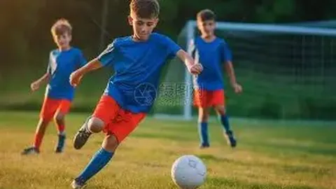 刘丁硕笑场辩解引热议，张本智和成笑柄，日乒协对国乒反应如何？